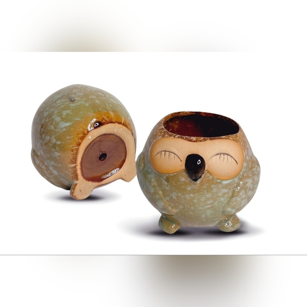 NWOT | Adorable Ceramic Owl Succulent Planter Pots | Set Of 4 | Drainage Holes - Picture 4 of 16